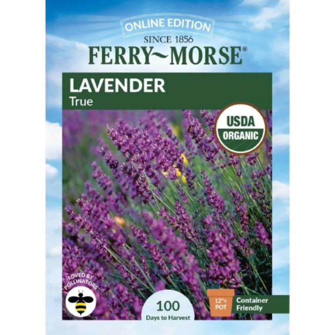 Lavender Seeds